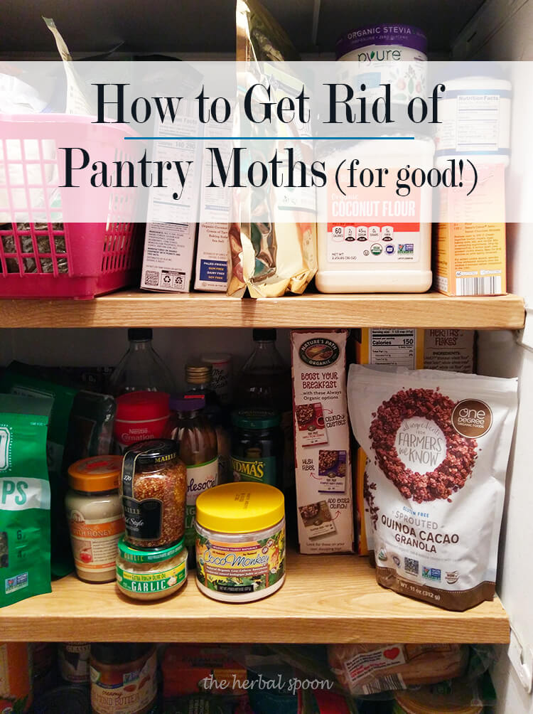 How to Get Rid of Pantry Moths for Good - The Herbal Spoon